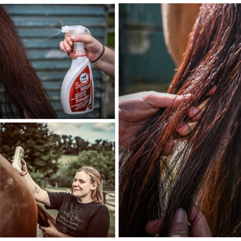 Schweif Pflege, Schweif extensions, Pflege von Schweif Toupets