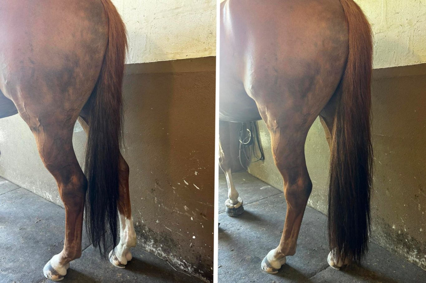 Schweiftoupet, Easy Tie Durchgängig Schweiftoupet, Schweif Toupet, Schweif Extensions, Schweif verdichtung, Katharina Asbeck