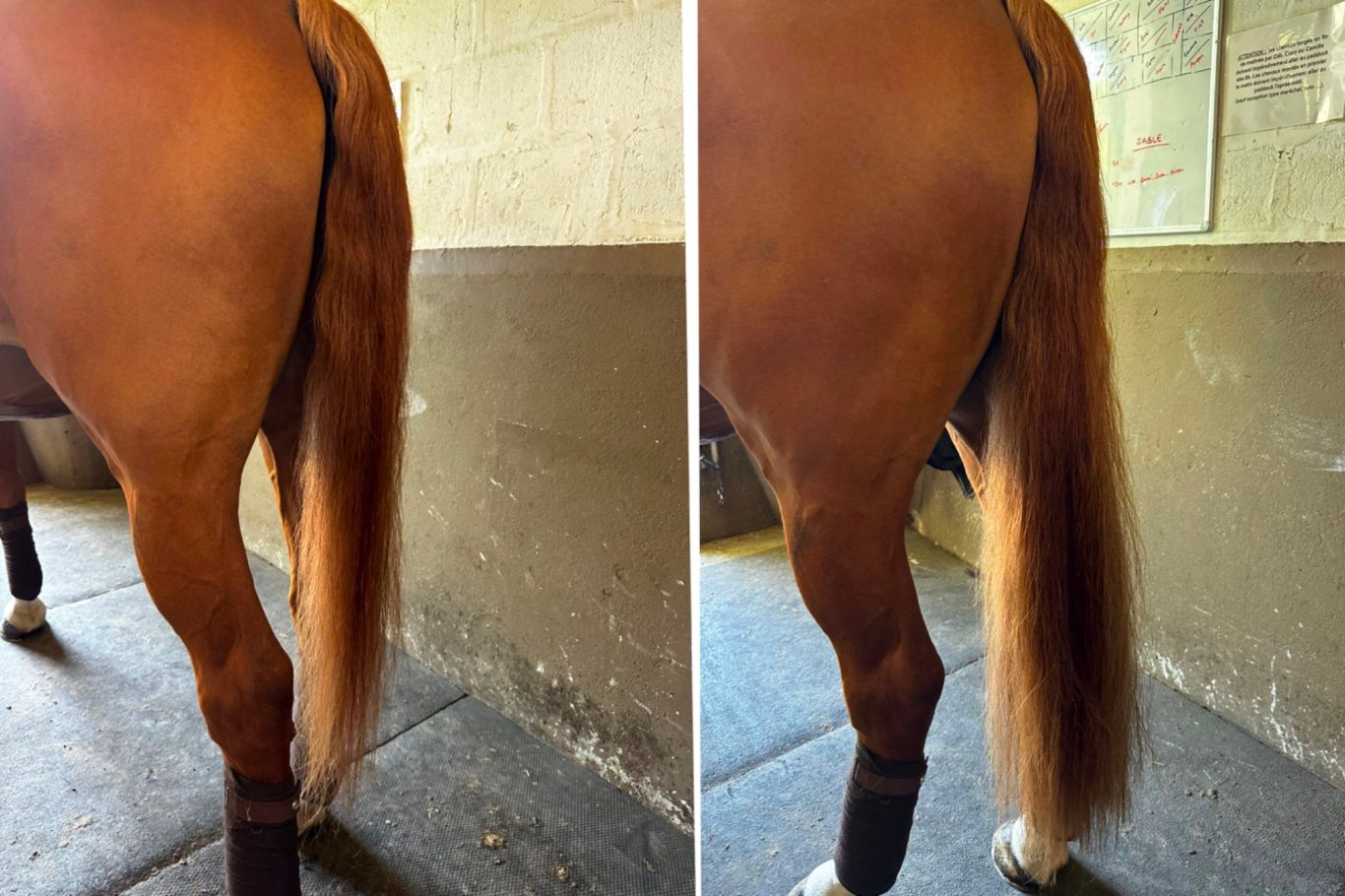 Schweif Toupet, Easy Tie - Im Natürlichen Look gehalten Schweiftoupet, Schweif Toupet, Schweif Extensions, Schweif verdichtung, Katharina Asbeck