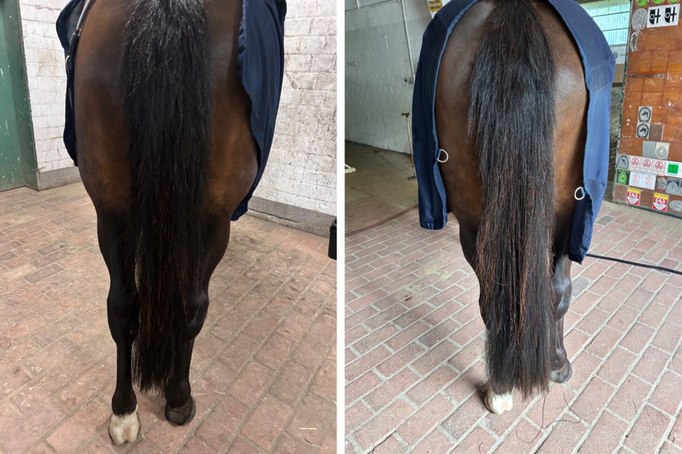 Mehr Volumen dank Echthaar Extensions Schweiftoupet, Schweif Toupet, Schweif Extensions, Schweif verdichtung, Katharina Asbeck