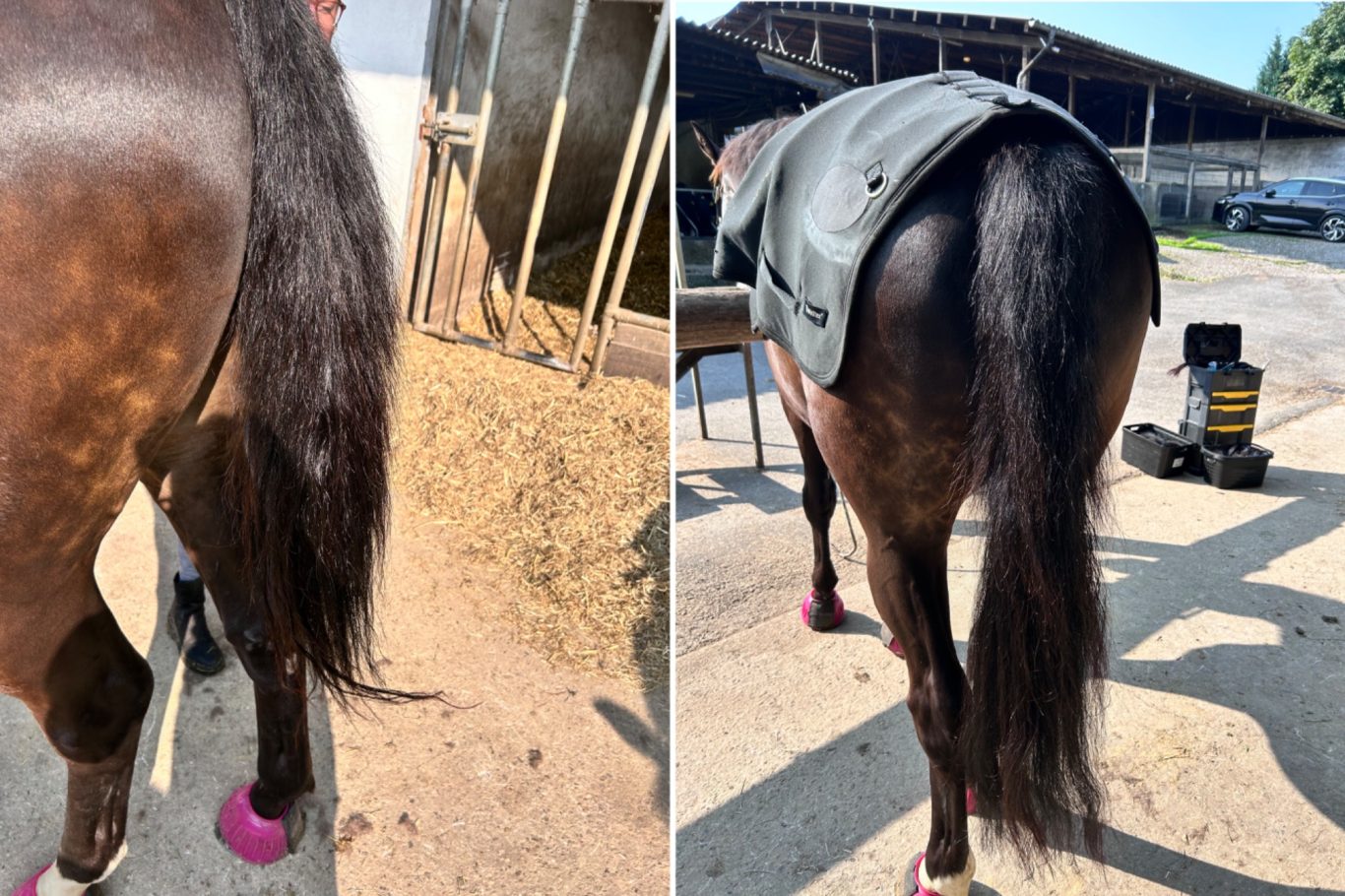 durch Extensions im Absolut natürlkichen bereich verlängert Schweiftoupet, Schweif Toupet, Schweif Extensions, Schweif verdichtung, Katharina Asbeck